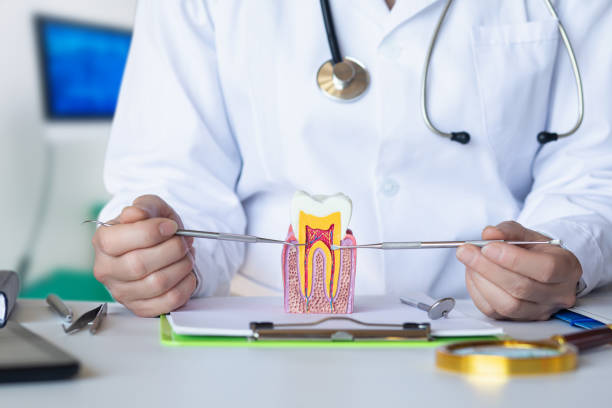 Best Walk-In Emergency Dental Services in Amherst, TX